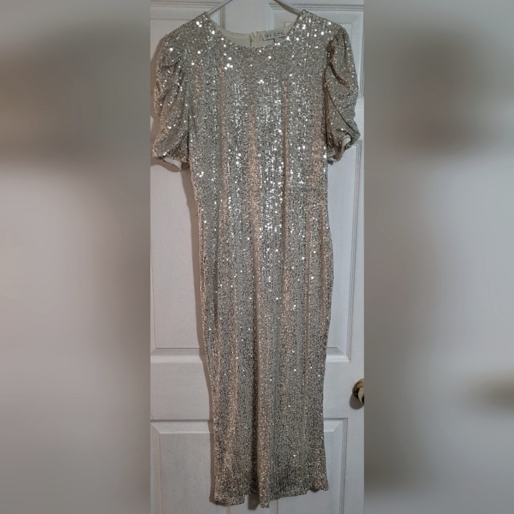 Ivy City Co Starling Sequin dress